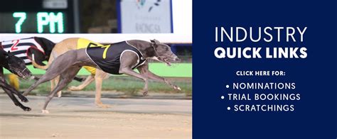 australian greyhound racing results|Greyhound Replays .